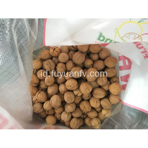 Jual Walnut Berkualitas Tinggi